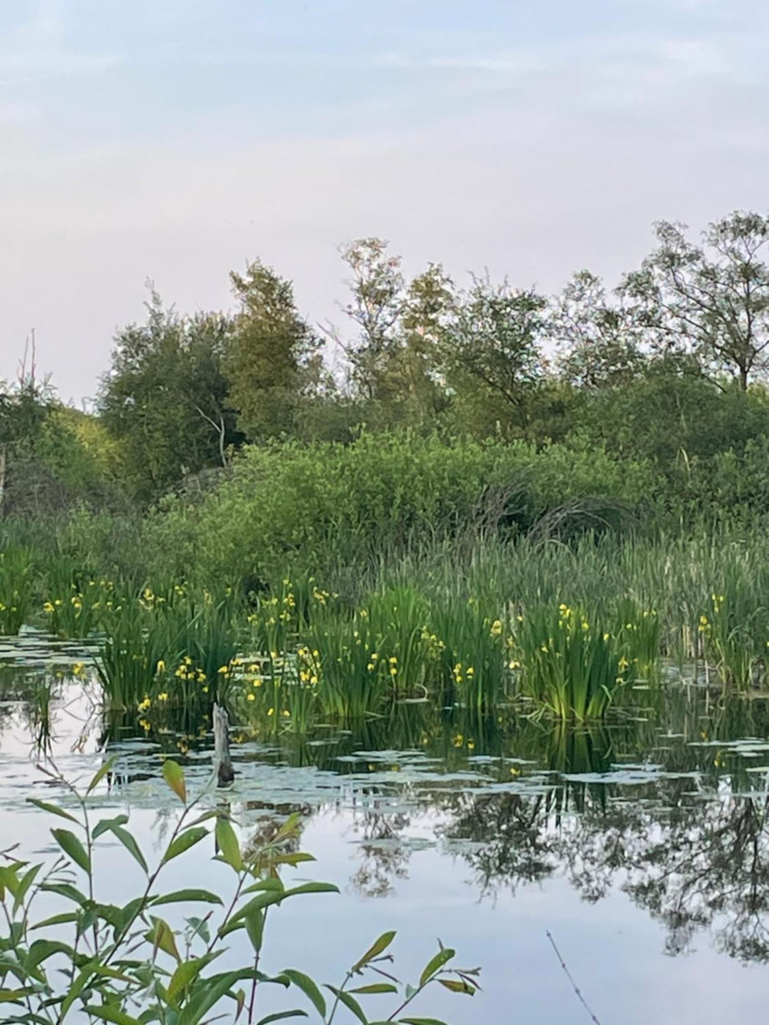 Vakantiewoning Hegga Hegelsom Zewnętrze zdjęcie