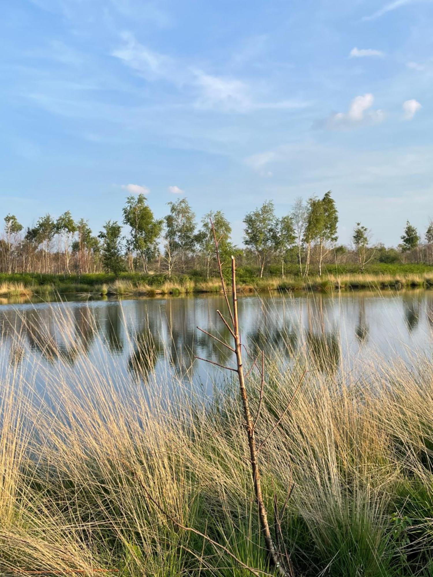 Vakantiewoning Hegga Hegelsom Zewnętrze zdjęcie