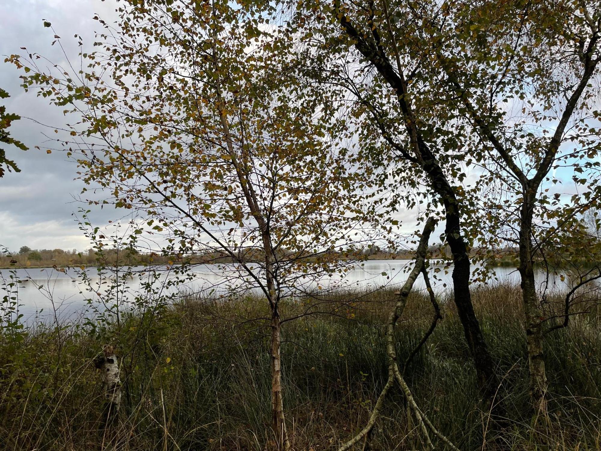Vakantiewoning Hegga Hegelsom Zewnętrze zdjęcie